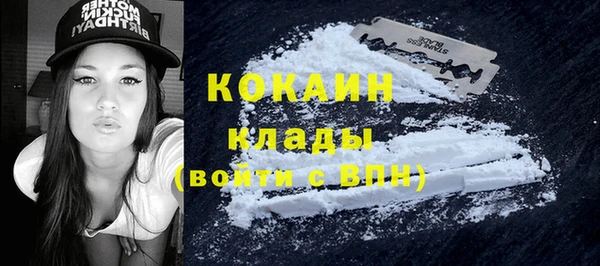 стаф Белокуриха