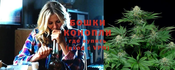 шишки Богородск
