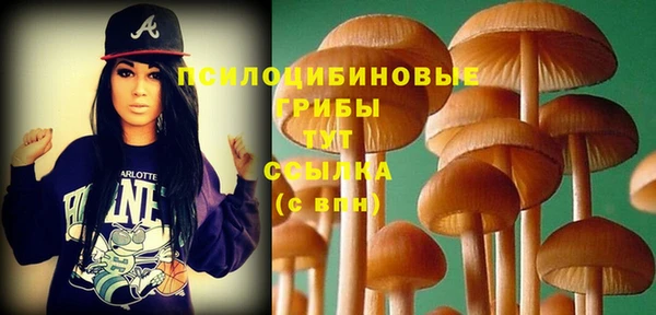 стаф Белокуриха