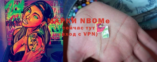 стаф Белокуриха