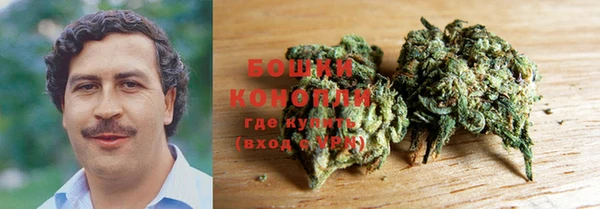 стаф Белокуриха