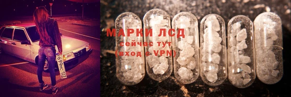 стаф Белокуриха