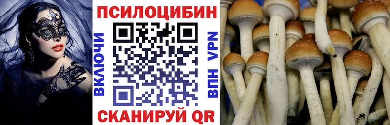 Купить где  Ладушкин  Псилоцибиновые грибы MAGIC MUSHROOMS 